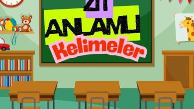 alfabetik-zit-anlamli-kelimeler