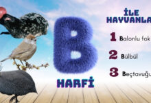 b ile hayvanlar