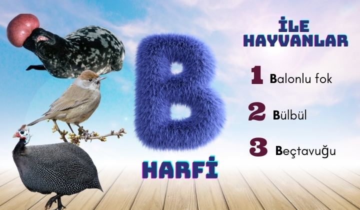 b ile hayvanlar