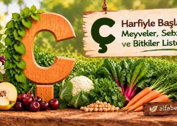c-harfiyle-baslayan-meyveler-sebzeler-bitkiler