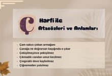 ç ile atasözleri