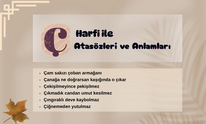 ç ile atasözleri
