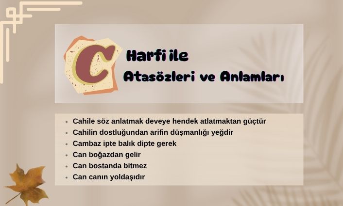 c ile başlayan atasöleri