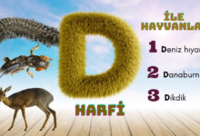d ile hayvanlar