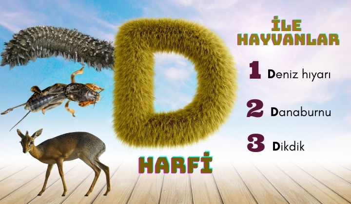 d ile hayvanlar