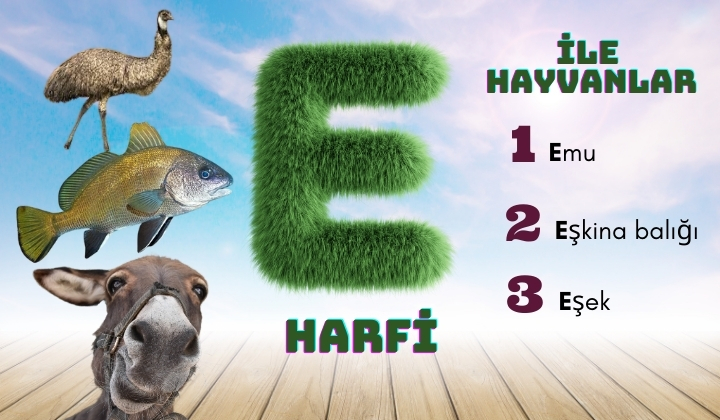 e ile hayvanlar