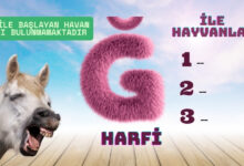 ğ harfi ile hayvanlar