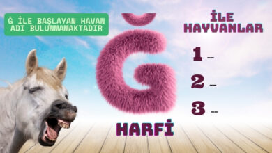 ğ harfi ile hayvanlar