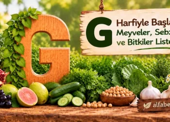 g-harfiyle-baslayan-meyveler-sebzeler-bitkiler