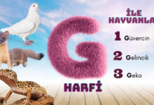 g ile başlayan hayvanlar