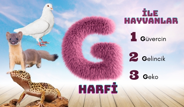 g ile başlayan hayvanlar