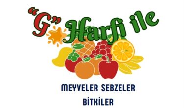 g ile meyveler sebzeler bitkiler