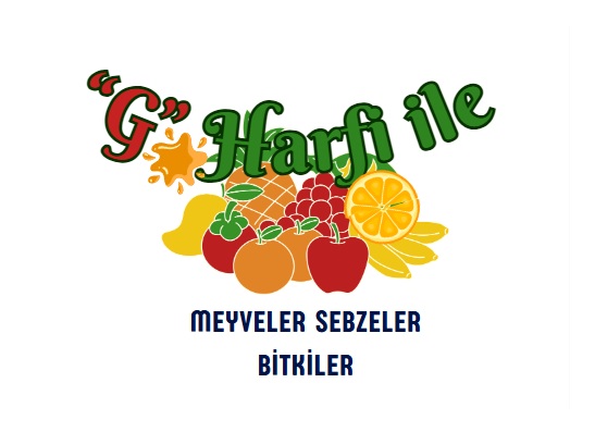 g ile meyveler sebzeler bitkiler