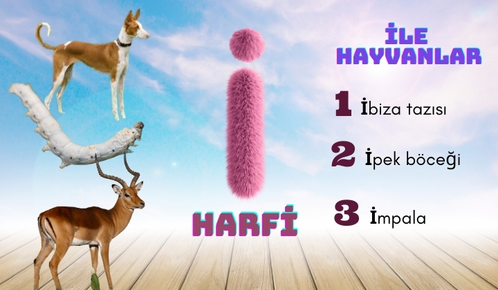 i ile hayvanlar