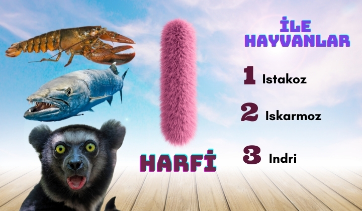 ı ile hayvanlar