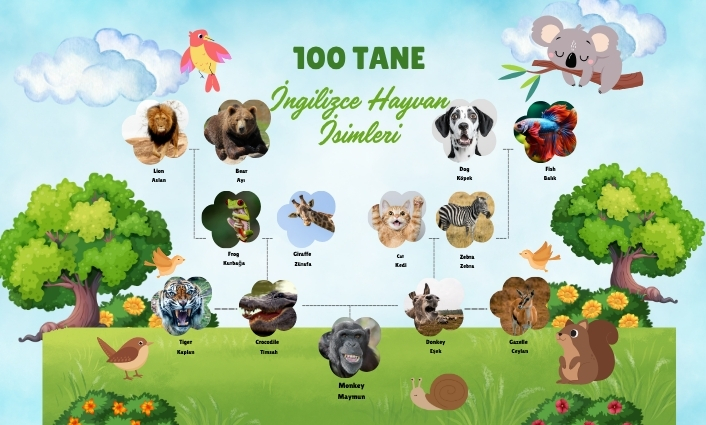 ingilizce-hayvan-isimleri-listesi