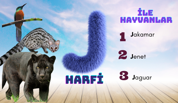 j ile hayvanlar