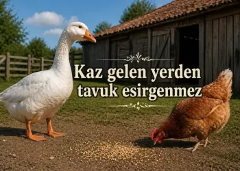 Kaz Gelen Yerden Tavuk Esirgenmez Atasözünün Anlamı