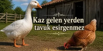 Kaz Gelen Yerden Tavuk Esirgenmez Atasözünün Anlamı