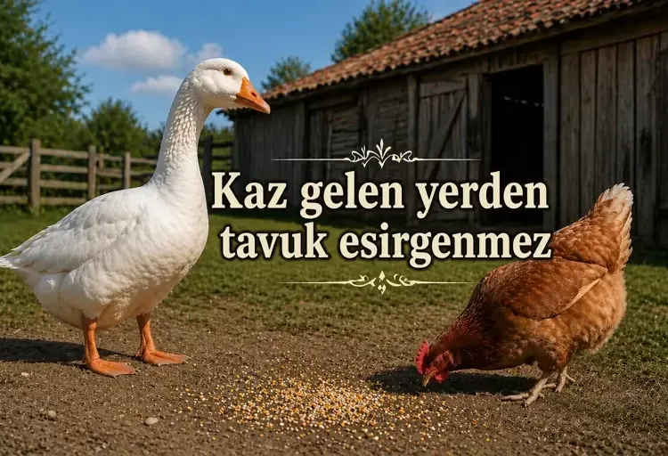 Kaz Gelen Yerden Tavuk Esirgenmez Atasözünün Anlamı