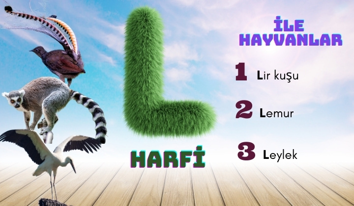 l ile hayvanlar