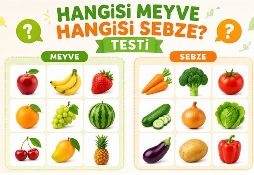 meyve-sebze-testi
