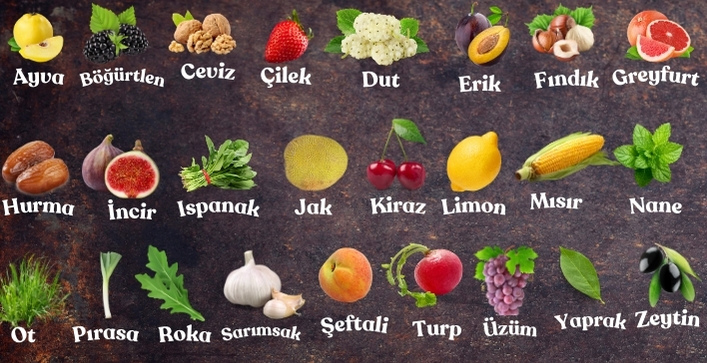 meyveler sebzeler bitkiler