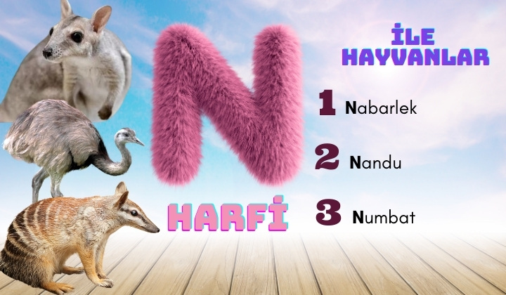 n ile hayvanlar