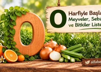 o-ile-baslayan-meyveler-sebzeler-bitkiler