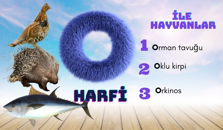 o ile hayvanlar
