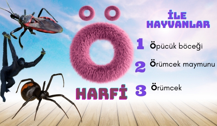 ö ile hayvanlar