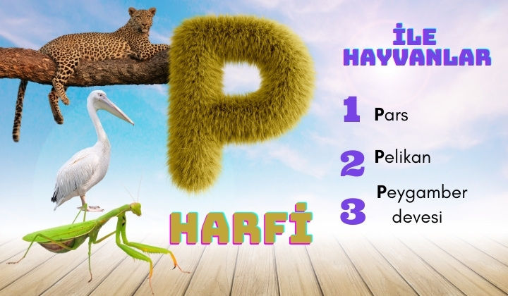p ile hayvanlar