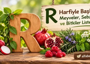 r-harfiyle-baslayan-meyveler-sebzeler-bitkiler