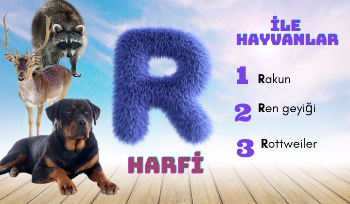 r ile hayvanlar
