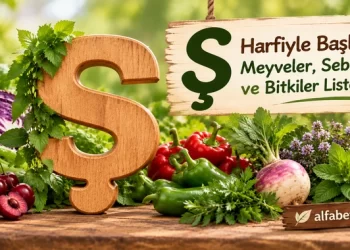 ş-harfiyle-baslayan-meyveler-sebzeler-bitkiler