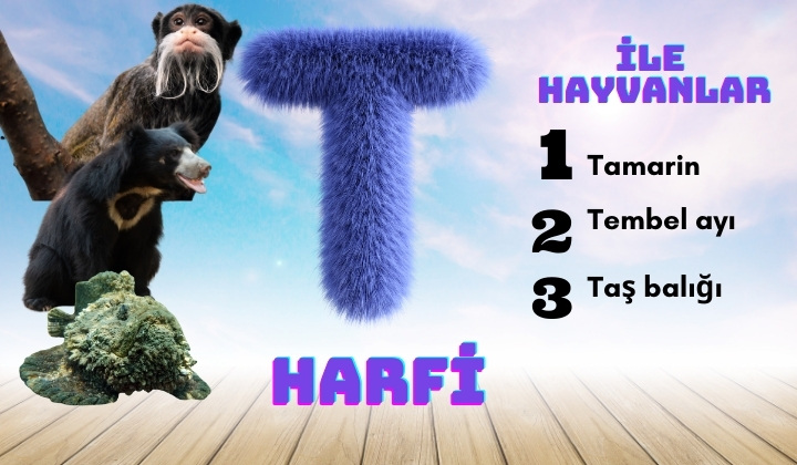 t ile hayvanlar