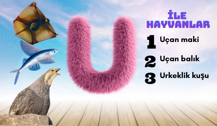 u ile hayvanlar