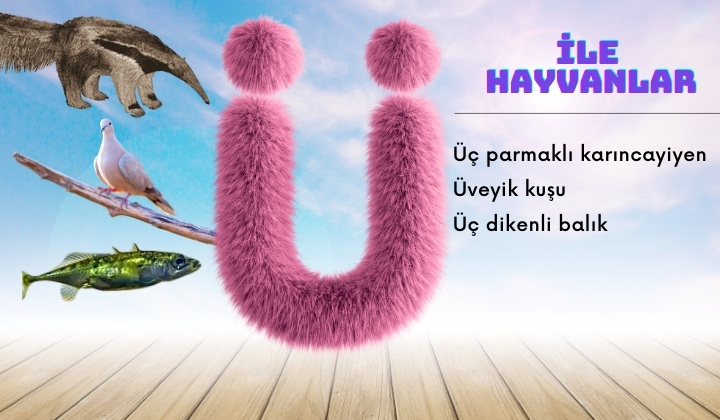ü ile hayvanlar
