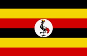 uganda bayrağı