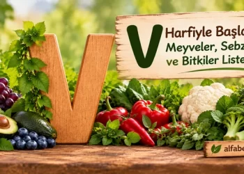 v-harfiyle-baslayan-meyveler-sebzeler-bitkiler