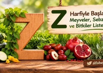 z-harfiyle-baslayan-meyveler-sebzeler-bitkiler