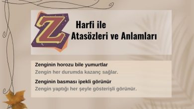 z-ile-atasozleri